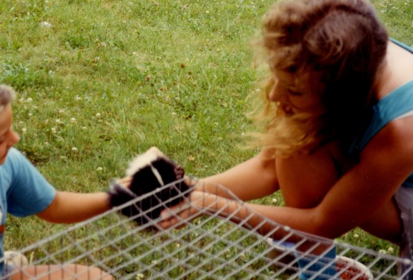 1990 Summer Skunks 3